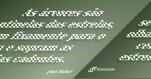 As árvores são sentinelas das estrelas, olham fixamente para o céu e sopram as estrelas cadentes.... Frase de Joni Baltar.