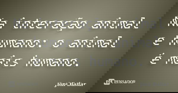 Na interação animal e humano: o animal é mais humano.... Frase de Joni Baltar.