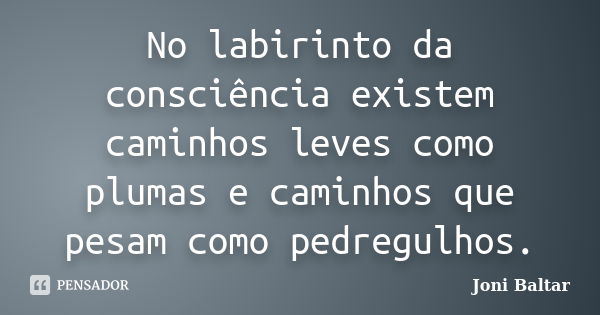 No labirinto da consciência existem caminhos leves como plumas e caminhos que pesam como pedregulhos.... Frase de Joni Baltar.