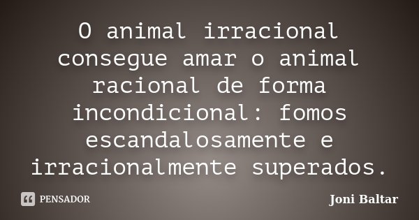 O animal irracional consegue amar o animal racional de forma incondicional: fomos escandalosamente e irracionalmente superados.... Frase de Joni Baltar.