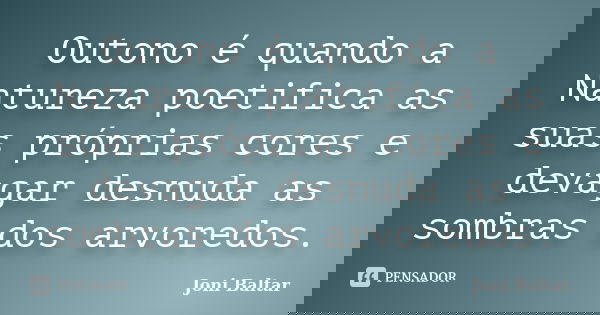 Outono é quando a Natureza poetifica as suas próprias cores e devagar desnuda as sombras dos arvoredos.... Frase de Joni Baltar.