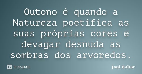 Outono é quando a Natureza poetifica as suas próprias cores e devagar desnuda as sombras dos arvoredos.... Frase de Joni Baltar.