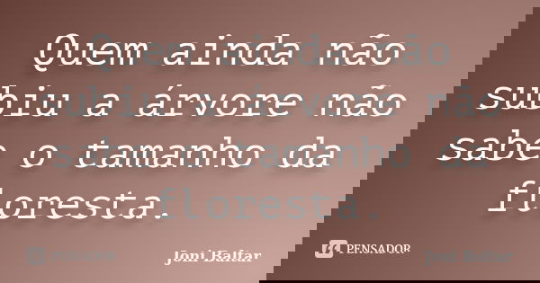 Quem ainda não subiu a árvore não sabe o tamanho da floresta.... Frase de Joni Baltar.