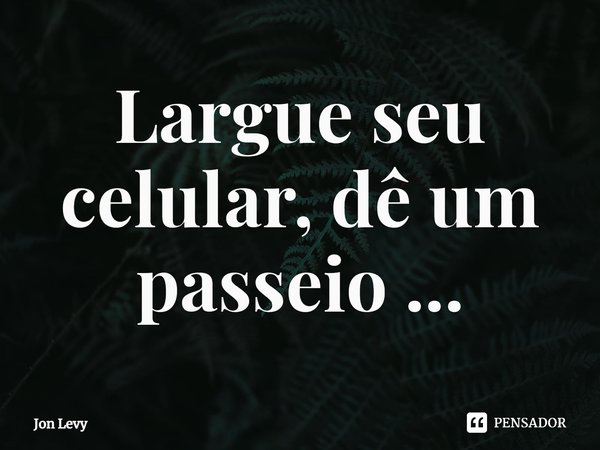 Largue seu celular, dê um passeio ...... Frase de Jon Levy.