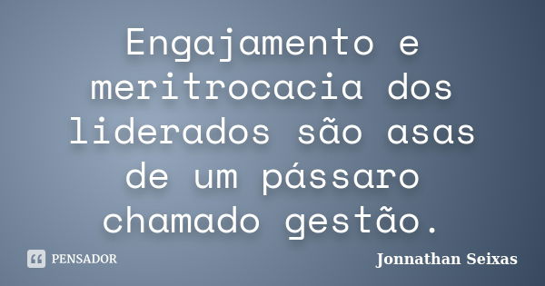 Engajamento e meritrocacia dos liderados são asas de um pássaro chamado gestão.... Frase de Jonnathan Seixas.