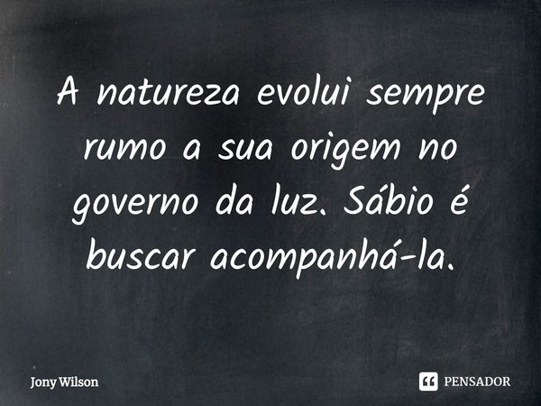 ⁠A natureza evolui sempre rumo a sua origem no governo da luz. Sábio é buscar acompanhá-la.... Frase de Jony Wilson.