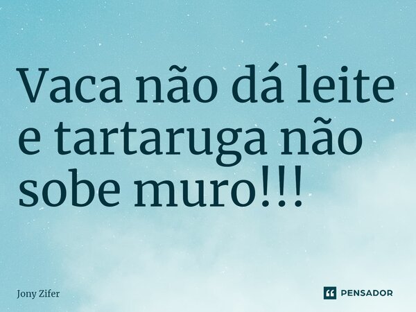 ⁠Vaca não dá leite e tartaruga não sobe muro!!!... Frase de Jony Zifer.