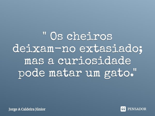 ⁠" Os cheiros deixam-no extasiado; mas a curiosidade pode matar um gato."... Frase de Jorge A Caldeira Júnior.