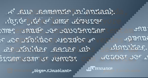 A sua semente plantada, hoje já é uma árvore enorme, onde se sustentam apenas as folhas verdes e bonitas, as folhas secas do acaso se foram com o vento.... Frase de Jorge Cavalcante.