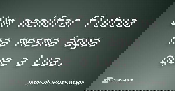 Um nenúfar flutua na mesma água que a Lua.... Frase de Jorge de Sousa Braga.