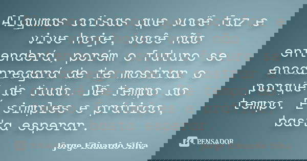 Algumas coisas que você faz e vive hoje, você não entenderá, porém o futuro se encarregará de te mostrar o porquê de tudo. Dê tempo ao tempo. É simples e prátic... Frase de Jorge Eduardo Silva.
