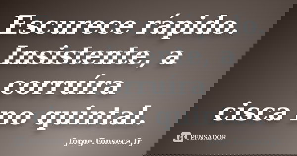 Escurece rápido.
Insistente, a corruíra
cisca no quintal.... Frase de Jorge Fonseca Jr..