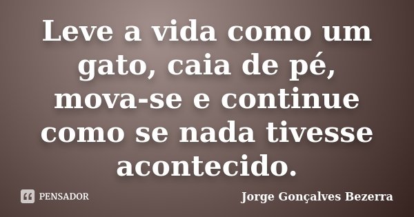 Leve a vida como um gato, caia de pé, mova-se e continue como se nada tivesse acontecido.... Frase de Jorge Gonçalves Bezerra.
