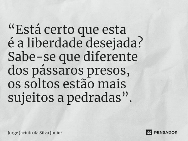 ⁠“Está certo que esta é a liberdade desejada? Sabe-se que diferente dos pássaros presos, os soltos estão mais sujeitos a pedradas”.... Frase de Jorge Jacinto da Silva Junior.
