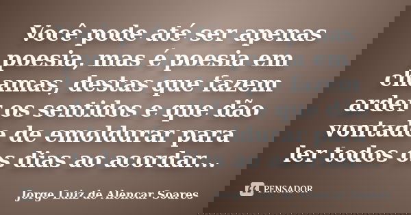 Você pode até ser apenas poesia, mas é poesia em chamas, destas que fazem arder os sentidos e que dão vontade de emoldurar para ler todos os dias ao acordar...... Frase de Jorge Luiz de Alencar Soares.