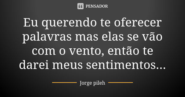 Eu querendo te oferecer palavras mas elas se vão com o vento, então te darei meus sentimentos...... Frase de Jorge pileh.