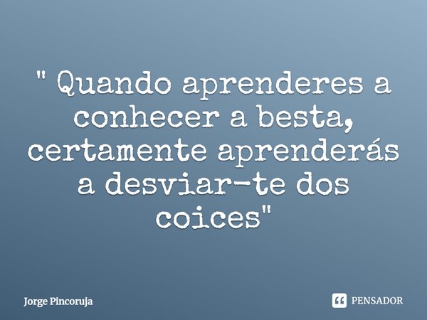 ⁠" Quando aprenderes a conhecer a besta, certamente aprenderás a desviar-te dos coices"... Frase de Jorge Pincoruja.
