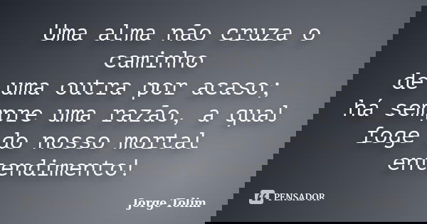 Uma alma não cruza o caminho de uma outra por acaso; há sempre uma razão, a qual foge do nosso mortal entendimento!... Frase de Jorge Tolim.