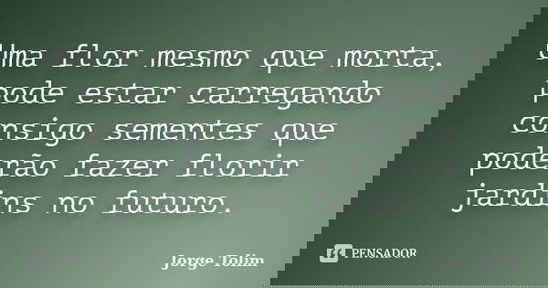 Uma flor mesmo que morta, pode estar carregando consigo sementes que poderão fazer florir jardins no futuro.... Frase de Jorge Tolim.