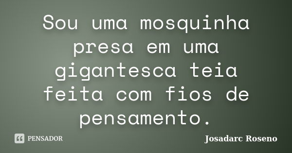 Sou uma mosquinha presa em uma gigantesca teia feita com fios de pensamento.... Frase de Josadarc Roseno.