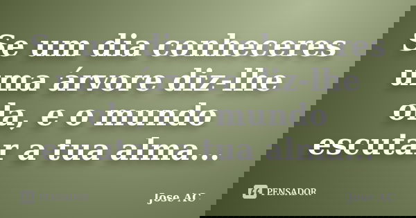 Se um dia conheceres uma árvore diz-lhe ola, e o mundo escutar a tua alma...... Frase de Jose AC.