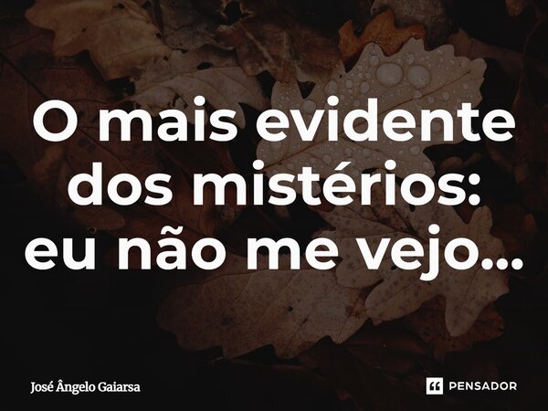 ⁠O mais evidente dos mistérios: eu não me vejo...... Frase de José Ângelo Gaiarsa.