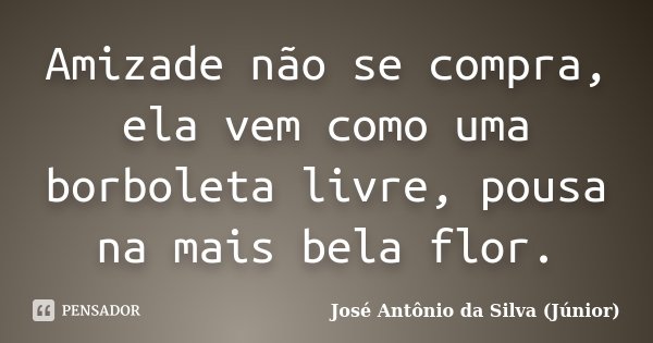 Amizade não se compra, ela vem como uma borboleta livre, pousa na mais bela flor.... Frase de José Antônio da Silva (Júnior).