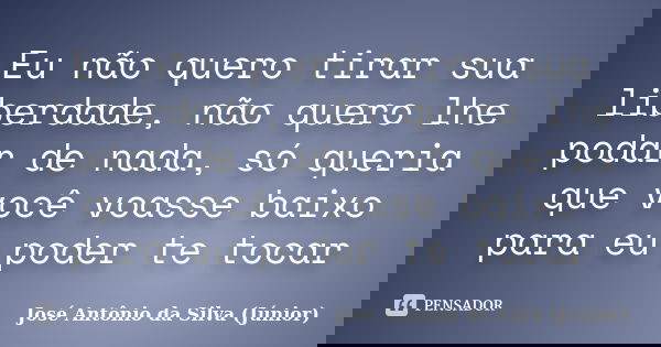 Eu não quero tirar sua liberdade, não quero lhe podar de nada, só queria que você voasse baixo para eu poder te tocar... Frase de José Antônio da Silva (Júnior).