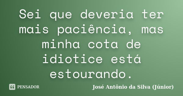 Sei que deveria ter mais paciência, mas minha cota de idiotice está estourando.... Frase de José Antônio da Silva (Júnior).