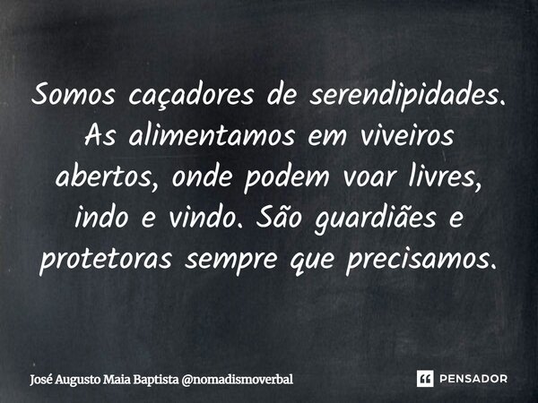 Somos caçadores de serendipidades. As alimentamos em viveiros abertos, onde podem voar livres, indo e vindo. São guardiães e protetoras sempre que precisamos.... Frase de José Augusto Maia Baptista nomadismoverbal.