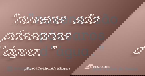 "nuvens são pássaros d'água."... Frase de José Carlos de Souza.