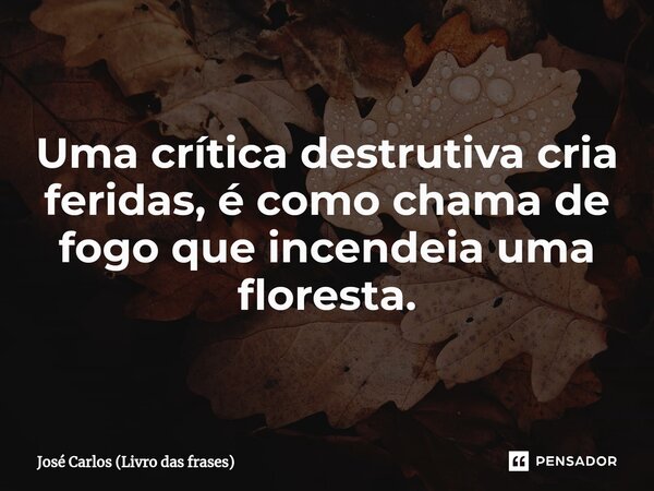 ⁠Uma crítica destrutiva cria feridas, é como chama de fogo que incendeia uma floresta.... Frase de José Carlos (Livro das frases).