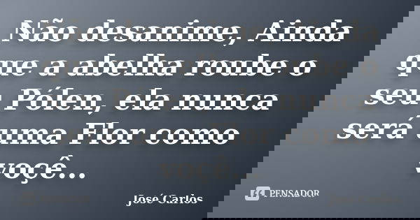 Não desanime, Ainda que a abelha roube o seu Pólen, ela nunca será uma Flor como voçê...... Frase de José Carlos.
