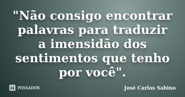 "Não consigo encontrar palavras para traduzir a imensidão dos sentimentos que tenho por você".... Frase de José Carlos Sabino.