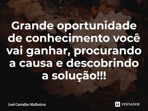 ⁠Grande oportunidade de conhecimento você vai ganhar, procurando a causa e descobrindo a solução!!!... Frase de José Carvalho Malheiros.