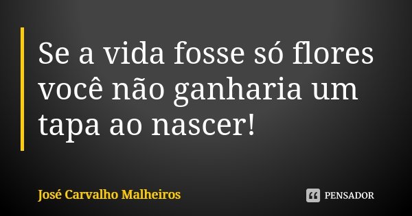 Se a vida fosse só flores você não ganharia um tapa ao nascer!... Frase de José Carvalho Malheiros.