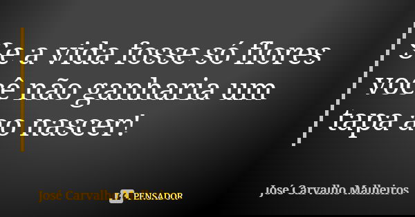 Se a vida fosse só flores você não ganharia um tapa ao nascer!... Frase de José Carvalho Malheiros.