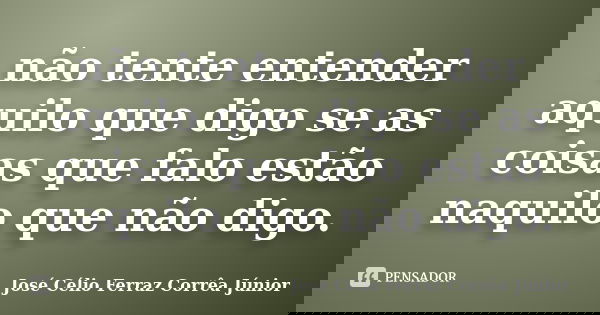 não tente entender aquilo que digo se as coisas que falo estão naquilo que não digo.... Frase de José Célio Ferraz Corrêa Júnior.
