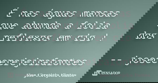 É nas águas mansas que abunda a folia dos reflexos em cio ! -- josecerejeirafontes... Frase de jose cerejeira fontes.