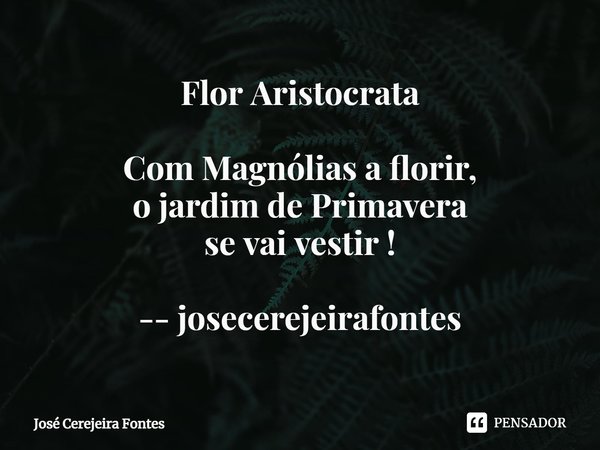 ⁠Flor Aristocrata Com Magnólias a florir,
o jardim de Primavera
se vai vestir ! -- josecerejeirafontes... Frase de Jose Cerejeira Fontes.