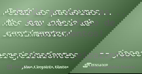 Perdi as palavras... Mas sou cheio de sentimentos! -- josecerejeirafontes... Frase de jose cerejeira fontes.