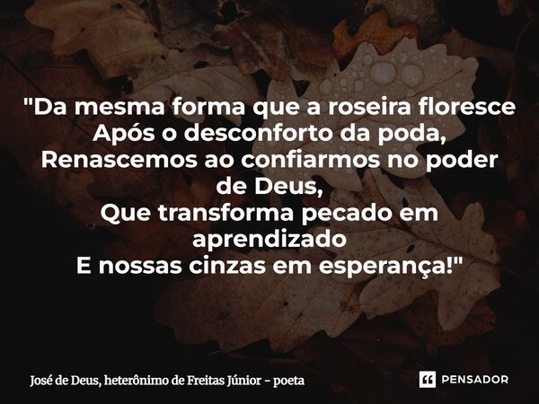 ⁠"Da mesma forma que a roseira floresce Após o desconforto da poda, Renascemosao confiarmos no poder de Deus, Que transforma pecado em aprendizado E nossas... Frase de José de Deus, heterônimo de Freitas Júnior - poeta.