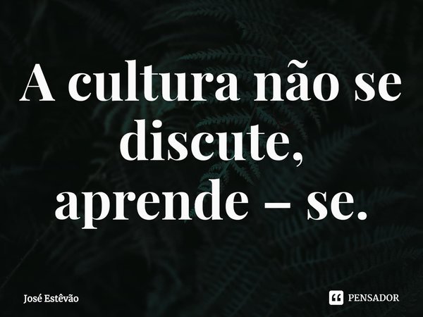 ⁠A cultura não se discute, aprende – se.... Frase de José Estêvão.