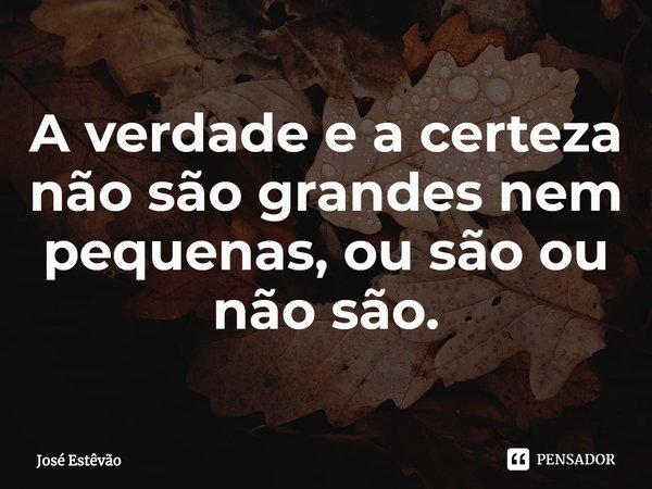 ⁠A verdade e a certeza não são grandes nem pequenas, ou são ou não são.... Frase de José Estêvão.