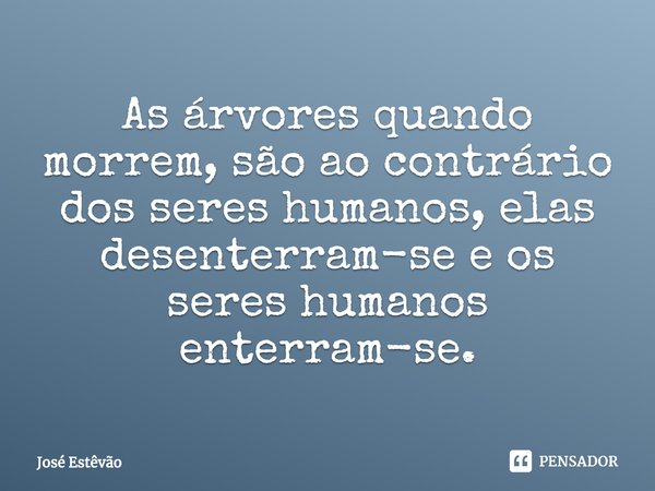 ⁠As árvores quando morrem, são ao contrário dos seres humanos, elas desenterram-se e os seres humanos enterram-se.... Frase de José Estêvão.