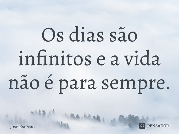 ⁠Os dias são infinitos e a vida não é para sempre.... Frase de José Estêvão.
