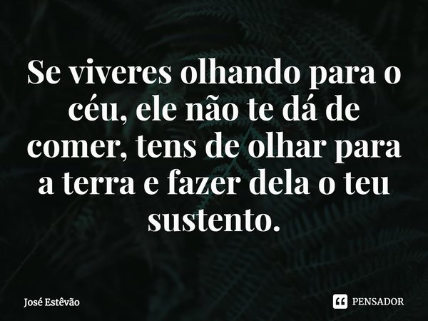 ⁠Se viveres olhando para o céu, ele não te dá de comer, tens de olhar para a terra e fazer dela o teu sustento.... Frase de José Estêvão.