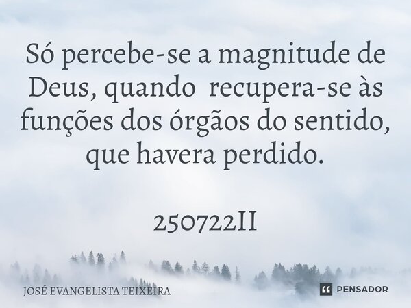 ⁠Só percebe-se a magnitude de Deus, quando recupera-se às funções dos órgãos do sentido, que havera perdido. 250722II... Frase de José Evangelista Teixeira.