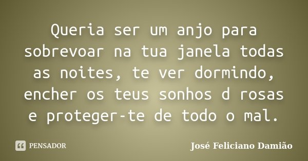 Queria ser um anjo para sobrevoar na tua janela todas as noites, te ver dormindo, encher os teus sonhos d rosas e proteger-te de todo o mal.... Frase de José Feliciano Damião..