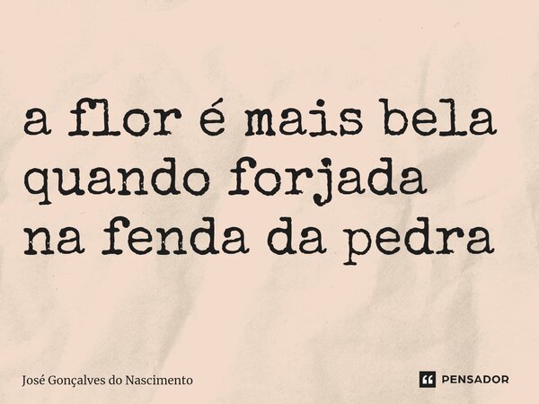 a flor é mais bela quando forjada na fenda da pedra... Frase de José Gonçalves do Nascimento.